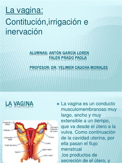 imagenes devaginas|Más de 20 imágenes gratis de La Vagina y Vagina .